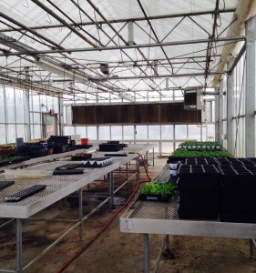 Photo by Caroline Goins Inside the Greenhouse at BHS. (located behind the CTE wing)