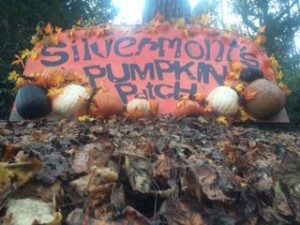 This October Silvermont is hosting the Silvermont Pumpkin Patch.